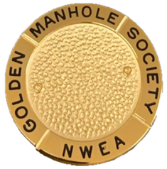 Gold Pin Image